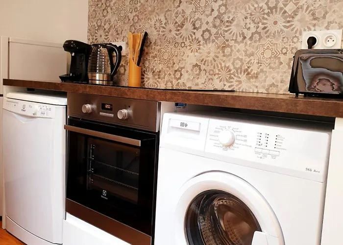 Sadi Carnot - 2b Duplex Apartmán Millau